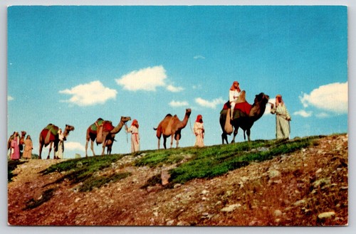 Postcard florida lake wales - postcard,