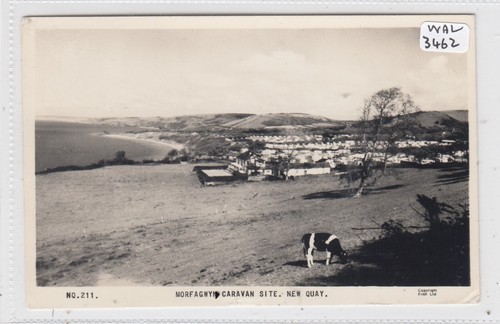 Newquay morfagwyn - newquay, (wales)