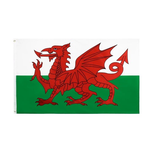 Large welsh flag wales - ,