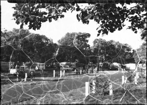 Nsw caravan park - park,, coffs