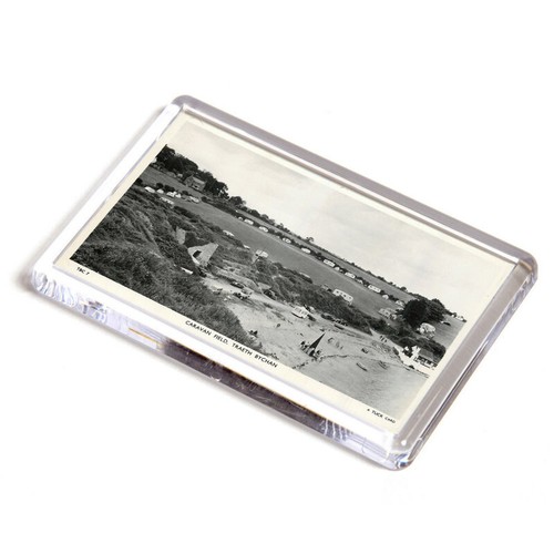 Fridge magnet vintage wales - magnet,
