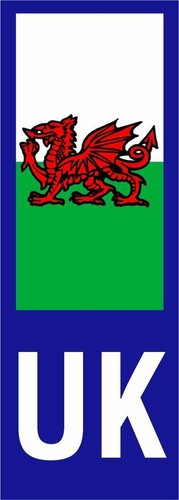 New wales welsh dragon - wales,