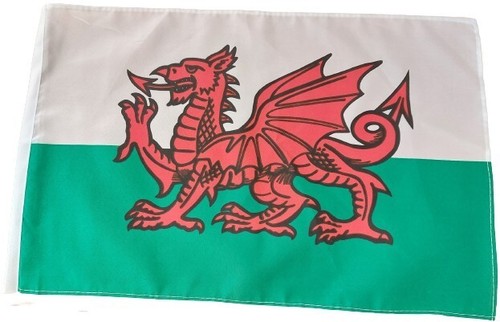 Wales flag x12 treehouse - flag,