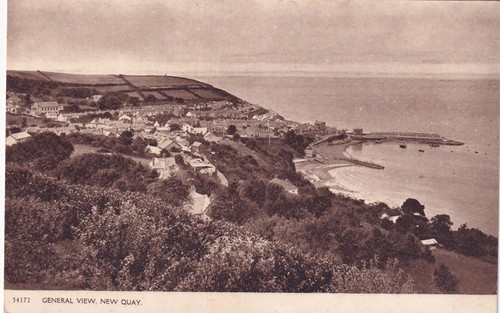 New quay cei - new, newydd