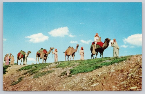 Camel caravan black - camel,