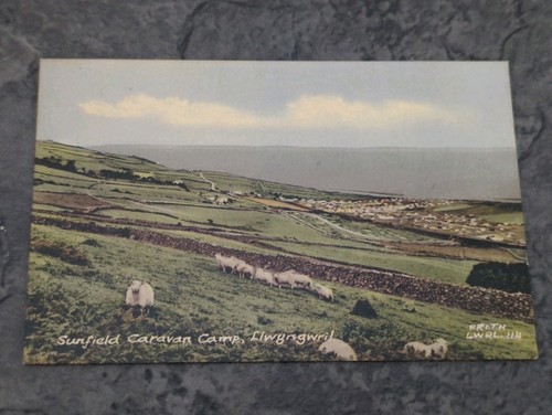 Rare llwyngwril sunfield - rare,