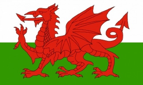 Wales welsh dragon flag - welsh, 18"