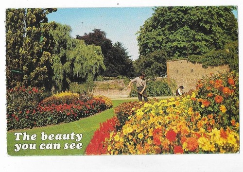 Single postcards topographical - single,