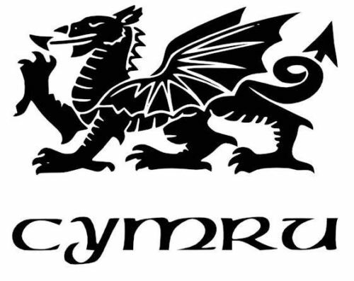 Wales welsh dragon - wales, vinyl