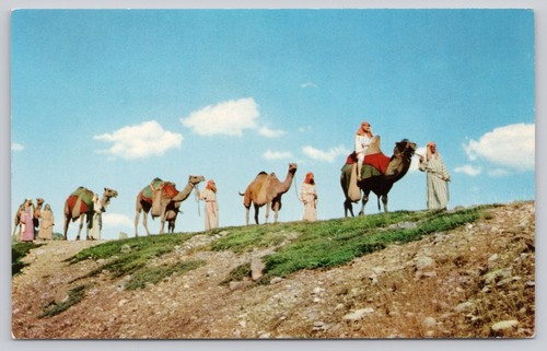 Camel caravan black hills - camel,