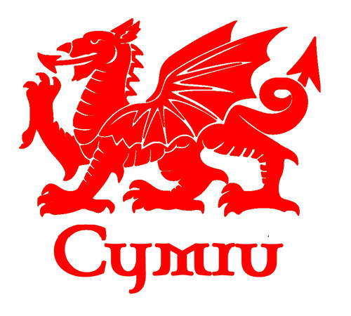 Welsh cymru dragon car caravan - welsh,